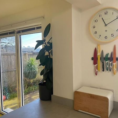 Stunning, Modern And Spacious House - טרורו מראה חיצוני תמונה